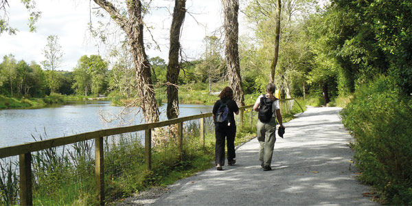 Hikers on the Castlecomer Loop