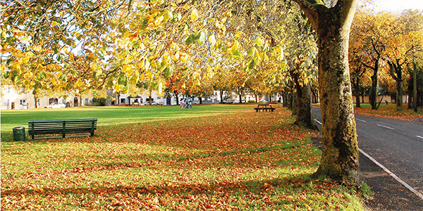 Park in Freshford in autumn