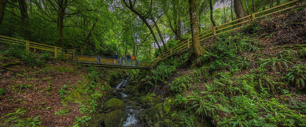 Woodstock Bridge