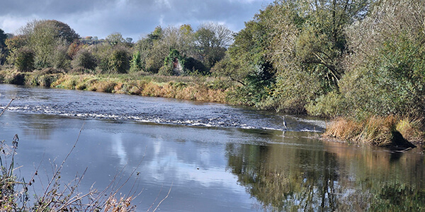 ogormans lane water