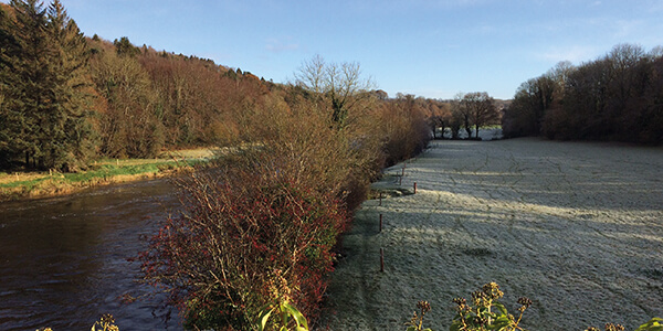 Field and river in Thomastown