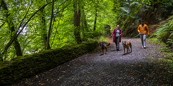 Couple walking two dogs in Woodstock